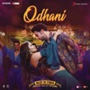 Odhani (From "Made in China") - Single, 2019