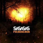 Phenomenon (feat. MC Skibadee, MC Shabba D & Harry Shotta) artwork