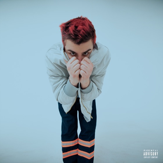 Cover artwork for Ptsd