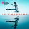 Le Corsaire: Pas d Escalve - Gulnare variation artwork