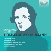 Hommage à Schumann artwork