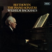 Beethoven: The Piano Sonatas (Stereo Version) artwork