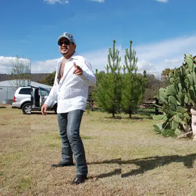 Puro Toron - El Toron De Michoacan Puro Toron - El Toron De Michoacan