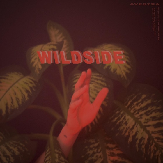 Cover artwork for Wildside