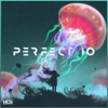 Perfect 10 (Unknown Brain & RudeLies VIP) - Single