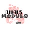 Modul8 (ItaloJohnson Remix) - DJ Haus lyrics