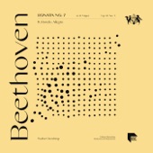 Sonata No. 7 in D Major, Op. 10 No. 3: IV. Rondo. Allegro artwork