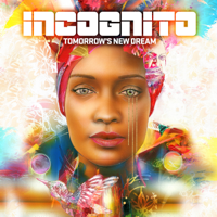 Incognito - Tomorrow's New Dream artwork