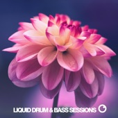 Liquid Drum & Bass Sessions 2020 Vol 9 artwork