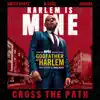 Cross the Path (feat. Swizz Beatz, A.CHAL & Jidenna) - Single album lyrics, reviews, download