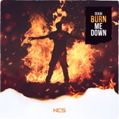 Burn Me Down artwork