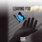 Leaving You (feat. Zegyas) - IVAN.G lyrics