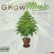 Grow Music - KiteStatus lyrics