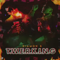 T.W.E.R.K.I.N.G - Single - Diamon B T.W.E.R.K.I.N.G - Single - Diamon B