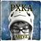 Through the Darkness (feat. Austin Stevens) - Pxka lyrics