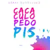 C**a, Culo, Pedo, Pis ( Isaac Rodriguez mix) [Remix] - Single album lyrics, reviews, download