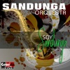 Soy Sandunga - Single