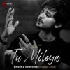 Tu Mileya - Single