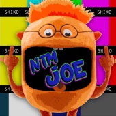 NTM Joe artwork