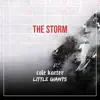The Storm (feat. Little Giants) - Single album lyrics, reviews, download