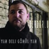 Yan Deli Gönül Yan - Single