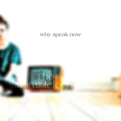 Why Speak Now by The Mumbleleers album reviews, ratings, credits