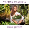 Masal Geceler - Single