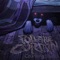 Water Your Flowers (feat. Daniel Louis) - Pull the Curtain lyrics