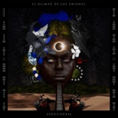 Ode Ni Iré (feat. Nickodemus) artwork