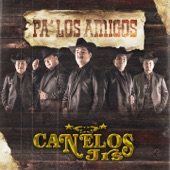 Pa' los Amigos artwork