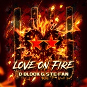 Love on Fire (Extended Mix) artwork