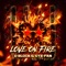 Love on Fire (Extended Mix) artwork