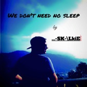 We Don't Need No Sleep artwork