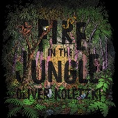 Fire in the Jungle artwork