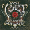 Love Removal Machine - EP