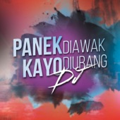 Panek Diawak Kayo Diurang DJ artwork
