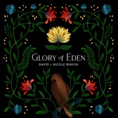 Glory of Eden (Live) artwork