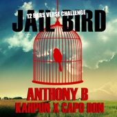 Jailbird Riddim (feat. CapoDon & Kahpun) artwork