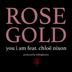 Rose Gold (feat. Chloe Nixon) Song Lyrics