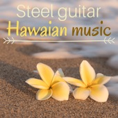 Steel Guitar Hawaian Music - Traditional Seaside Songs for Beach Party Chilling artwork