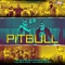 Pitbull (feat. K.S.Makhan) artwork