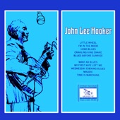 John Lee Hooker artwork