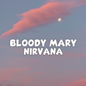 DJ Nirvana x Bloody Mary Hits 2023 (Remix) artwork