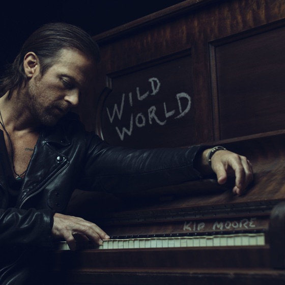 Cover artwork for Wild World