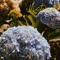 Victoria - Pirotecnia Violeta lyrics