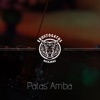 Patas Arriba (feat. Kamikazes) - Single