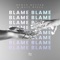 Blame (feat. Matt Wills) - Roman Müller & Matt Wills lyrics