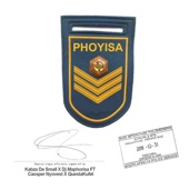 Phoyisa (Radio Edit) [feat. Cassper Nyovest & QwestaKufet] artwork