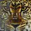 Fast Life - Single