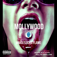 Waka Flocka Flame - Mollywood artwork